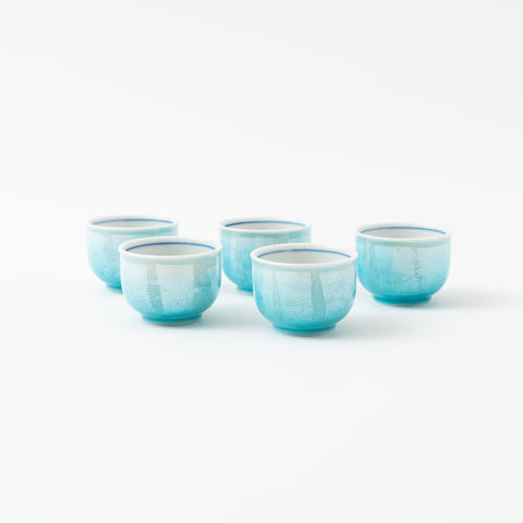 Tranquil Ginsai Kutani Sake Set