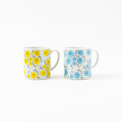 Harekutani Kutani Mug Cup Pair