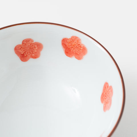 Plum Flower Print with Rabbit Shaped Handle Arita Tea Set