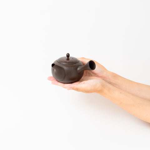 Gyokko Mogake Tokoname Teapot