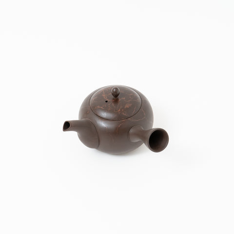 Gyokko Mogake Tokoname Teapot