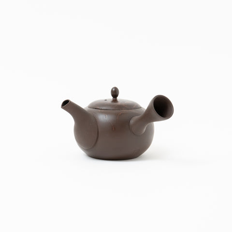 Gyokko Mogake Tokoname Teapot