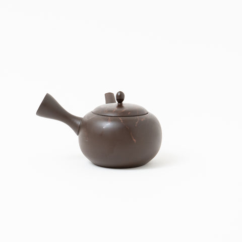 Gyokko Mogake Tokoname Teapot