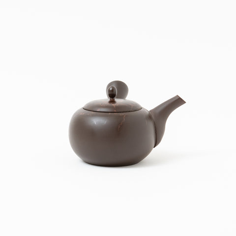 Gyokko Mogake Tokoname Teapot