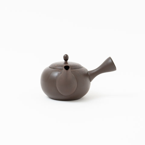 Gyokko Mogake Tokoname Teapot