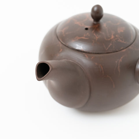 Gyokko Mogake Tokoname Teapot