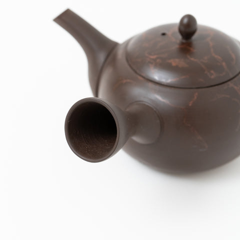 Gyokko Mogake Tokoname Teapot