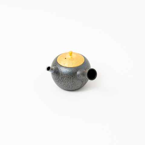 Shoryu Tenmoku Glaze Tokoname Teapot