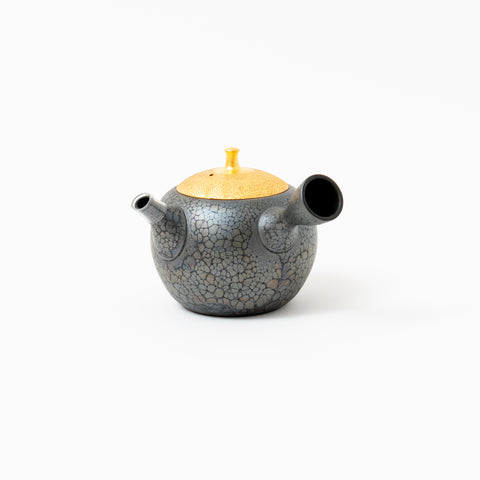 Shoryu Tenmoku Glaze Tokoname Teapot