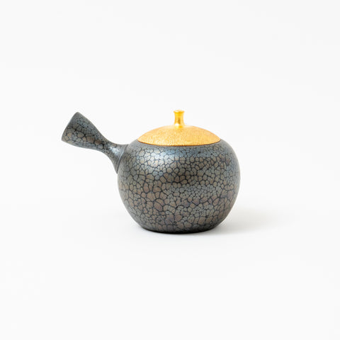 Shoryu Tenmoku Glaze Tokoname Teapot