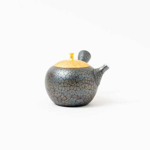 Shoryu Tenmoku Glaze Tokoname Teapot