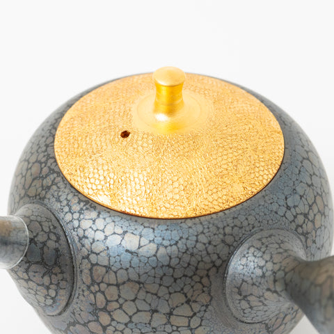 Shoryu Tenmoku Glaze Tokoname Teapot