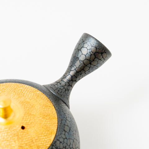 Shoryu Tenmoku Glaze Tokoname Teapot