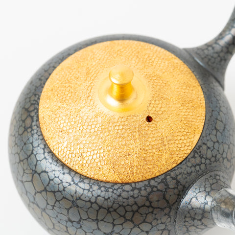 Shoryu Tenmoku Glaze Tokoname Teapot