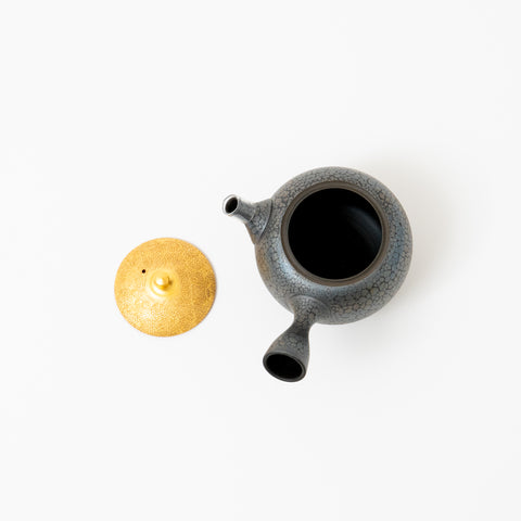 Shoryu Tenmoku Glaze Tokoname Teapot