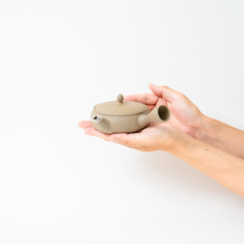 Gyokko Yakishime Finish Tokoname Teapot