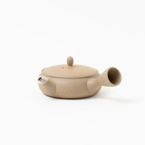 Gyokko Yakishime Finish Tokoname Teapot