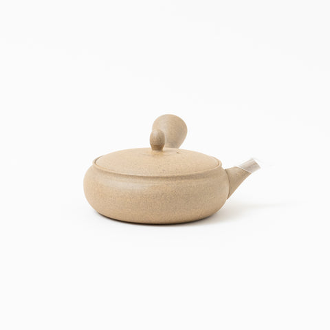 Gyokko Yakishime Finish Tokoname Teapot