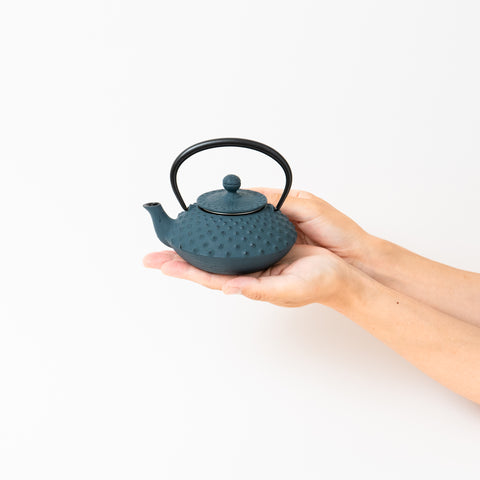 Daman Blue Traditional Dot Pattern Nambu-tekki Teapot