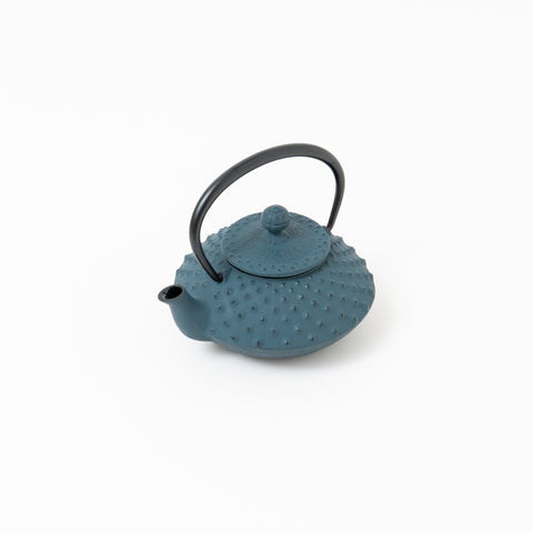 Daman Blue Traditional Dot Pattern Nambu-tekki Teapot