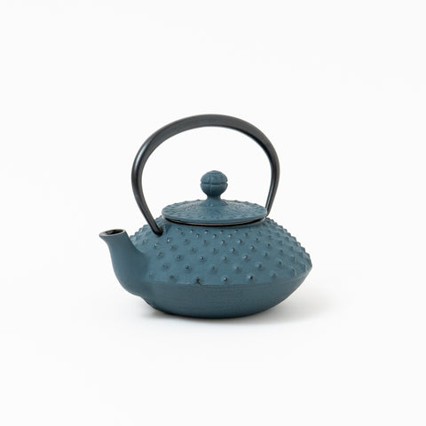 Daman Blue Traditional Dot Pattern Nambu-tekki Teapot