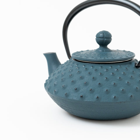 Daman Blue Traditional Dot Pattern Nambu-tekki Teapot