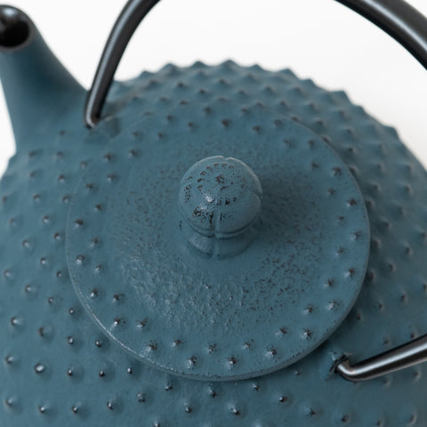 Daman Blue Traditional Dot Pattern Nambu-tekki Teapot