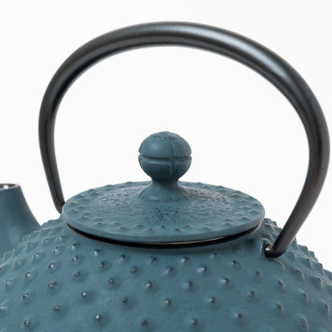 Daman Blue Traditional Dot Pattern Nambu-tekki Teapot