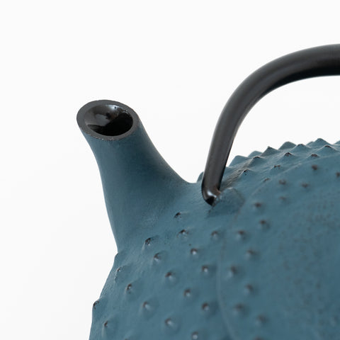 Daman Blue Traditional Dot Pattern Nambu-tekki Teapot