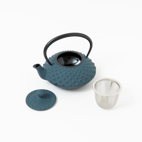 Daman Blue Traditional Dot Pattern Nambu-tekki Teapot