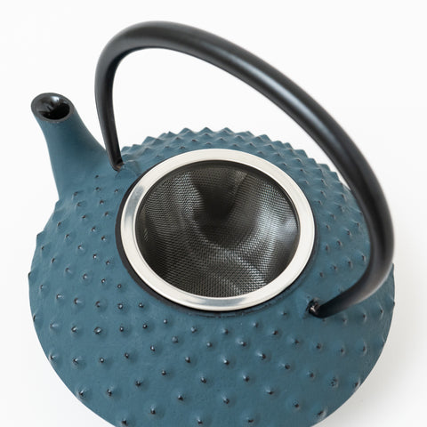 Daman Blue Traditional Dot Pattern Nambu-tekki Teapot