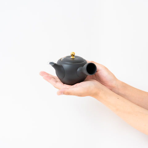 Shoboku Grape Design Black Clay Tokoname Teapot