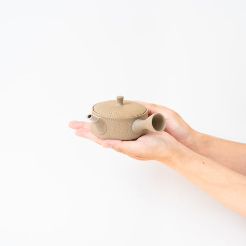 Gyokko Tobikana Design Tokoname Teapot