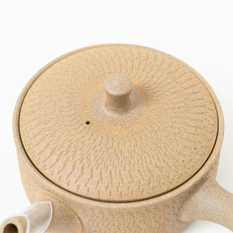 Gyokko Tobikana Design Tokoname Teapot