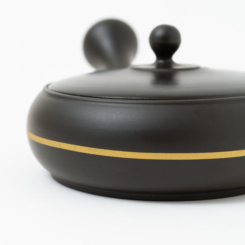 Sekiryu Gold Line Tokoname Teapot